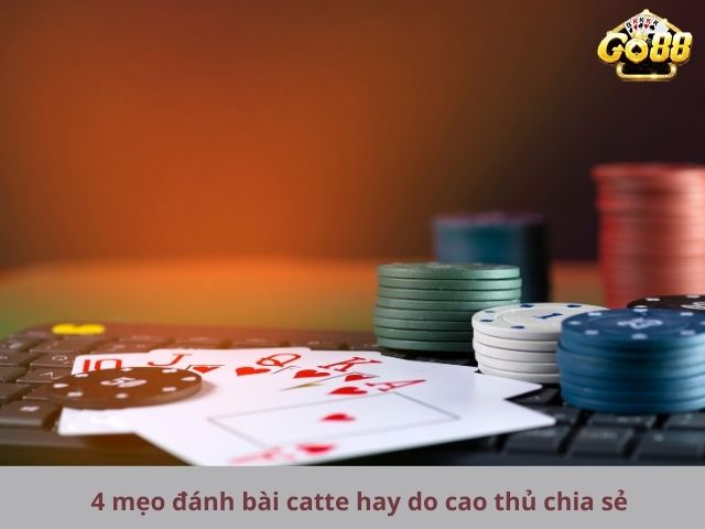 4 mẹo đánh bài catte hay do cao thủ chia sẻ