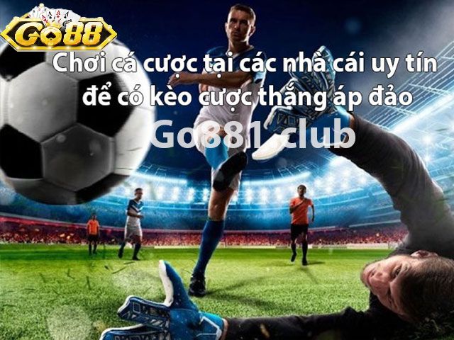 Vài nét tổng quan về cá cược bóng đá cho tân thủ