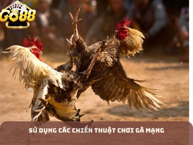 Sử dụng các chiến thuật chơi gà mạng