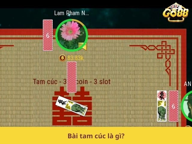 Bài tam cúc là gì?