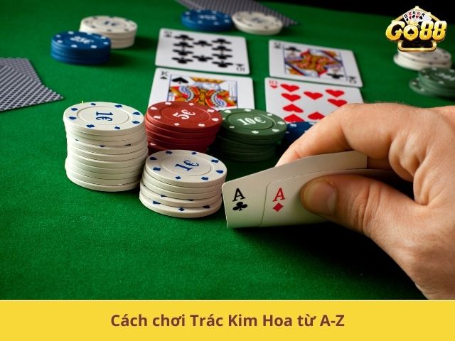 Cách chơi Trác Kim Hoa từ A-Z
