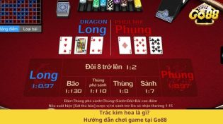 Trác kim hoa là gì? Hướng dẫn chơi game