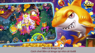 Bắn Cá Bingo là gì? Cách chơi Bắn cá bingo tại nhà cái Go88