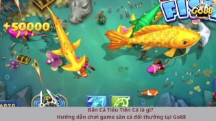 Bắn Cá Tiểu Tiên Cá là gì? Hướng dẫn chơi game săn cá đổi thưởng tại Go88