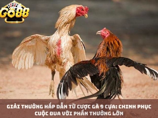 Giải Thưởng Hấp Dẫn Từ Cược Gà 9 Cựa: Chinh Phục Cuộc Đua Với Phần Thưởng Lớn