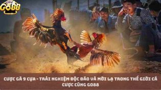 Cược Gà 9 Cựa - Trải nghiệm độc đáo và mới lạ trong thế giới cá cược