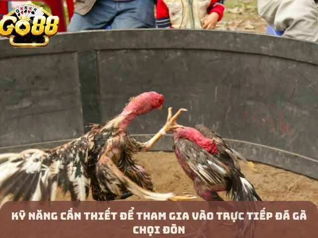 Kỹ năng cần thiết để tham gia vào trực tiếp đá gà chọi đòn