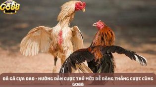 Đá gà cựa dao - Hướng dẫn cược thủ mới dễ dàng thắng cược