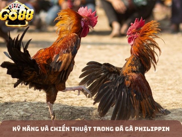 Kỹ năng và chiến thuật trong đá gà Philippin