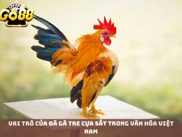 Vai Trò Của Đá Gà Tre Cựa Sắt trong Văn Hóa Việt Nam
