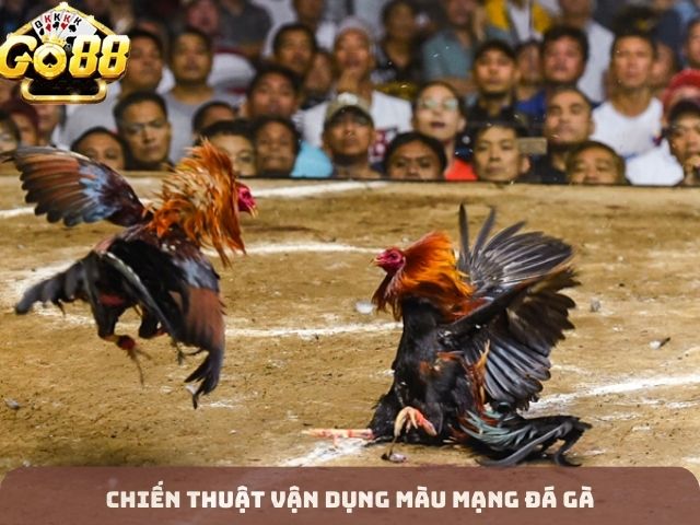 Chiến Thuật Vận Dụng Màu Mạng Đá Gà