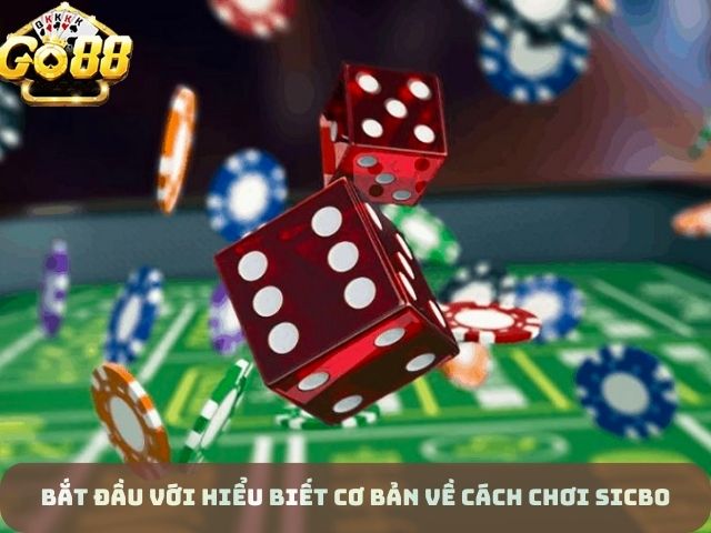 Hiểu biết cơ bản về cách chơi Sicbo