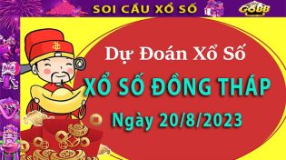 Soi cầu xổ số Đồng Tháp 21/8/2023 - Dự đoán XSMN cùng Go88