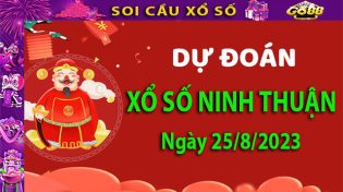 Soi cầu xổ số Ninh Thuận 25/8/2023 – Dự đoán XSMT cùng Go88