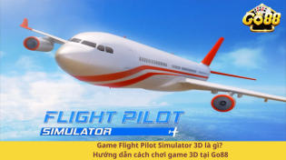 Game Flight Pilot Simulator 3D là gì? Hướng dẫn cách chơi game 3D