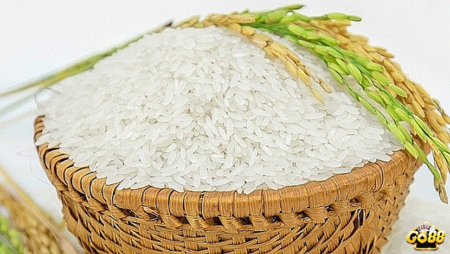 Mơ thấy lúa gạo