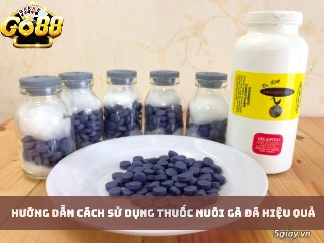 Hướng Dẫn Cách Sử Dụng Thuốc Nuôi Gà Đá Hiệu Quả