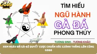 Xem Ngày Đá Gà-Bí Quyết Cược Chuẩn Xác Giành Thắng Lớn