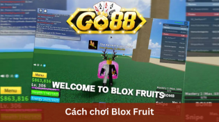 Cách chơi Blox Fruit - Cùng Làm Chiến Binh Tại Go88