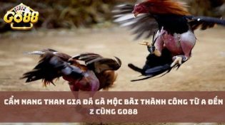 Cẩm nang tham gia đá gà mộc bài thành công từ A đến Z cùng Go88