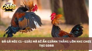 Đá gà nòi C1 - Giải mã bí ẩn giành thắng lớn khi chơi tại Go88