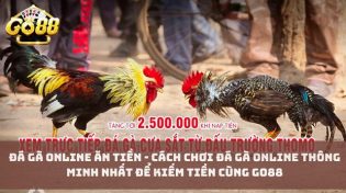 Đá gà online ăn tiền - Cách chơi đá gà online thông minh nhất để kiếm tiền cùng Go88