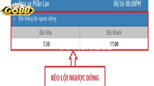 Kèo cược ngược và tất cả các thông tin phải biết