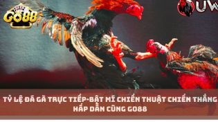 Tỷ lệ đá gà trực tiếp-Bật mí chiến thuật chiến thắng hấp dẫn cùng Go88