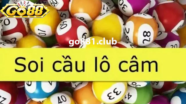 Kinh nghiệm lô câm đuôi câm đít dễ trúng, chuẩn xác nhất