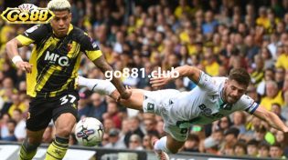 Dự đoán Plymouth Argyle vs Watford lúc 22h00 1/1