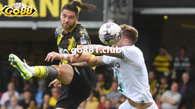 Đội hình dự kiến sẽ gặp nhau của hai đội bóng Plymouth Argyle vs Watford