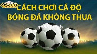 Cách chơi cá độ bóng đá không thua – 6 cách chơi