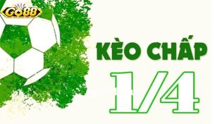 Kèo 1/4 là sao? Hướng dẫn đọc kèo chấp 1/4 chi tiết