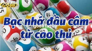 Hiểu về bạc nhớ đầu câm - Thông tin mới nhất 2024