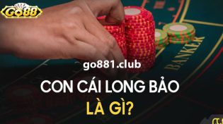 Long bảo trong baccarat là gì? Kinh nghiệm cược