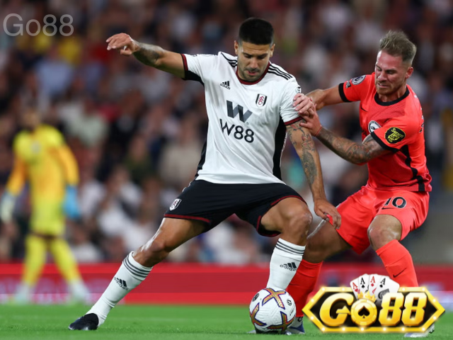 Nhận định Fulham Vs Brighton kèo tỉ số