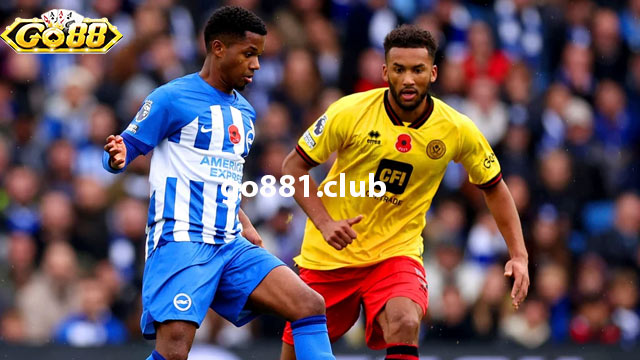 Đội hình dự kiến trận đấu giữa Sheffield United vs Brighton