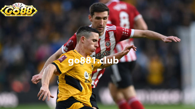 Đội hình dự kiến trận đấu giữa Wolves vs Sheffield United